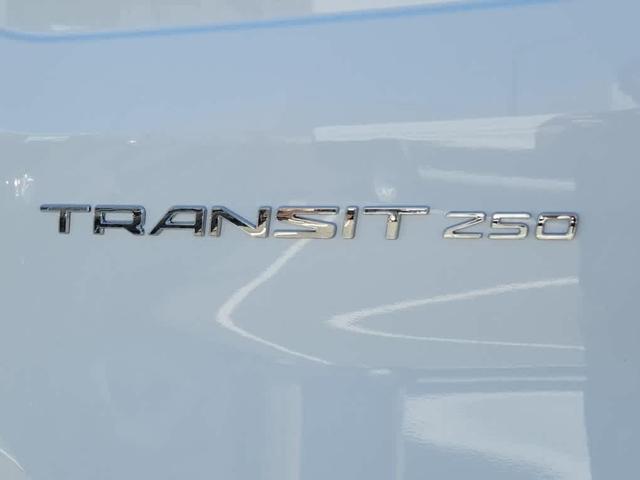 Photo of 2025 Oxford White Ford Transit-250