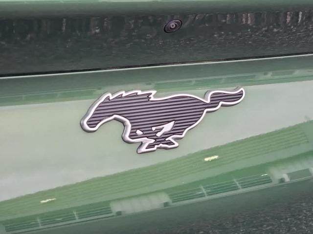Photo of 2024 Eruption Green Metallic Ford Mustang Mach-E
