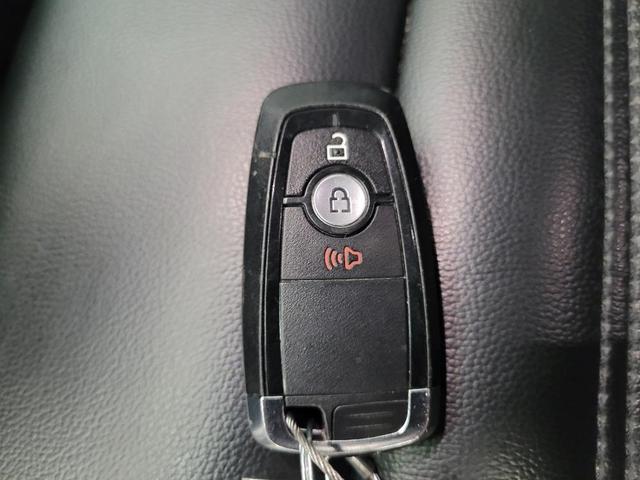 Photo of 2024 White Ford Edge