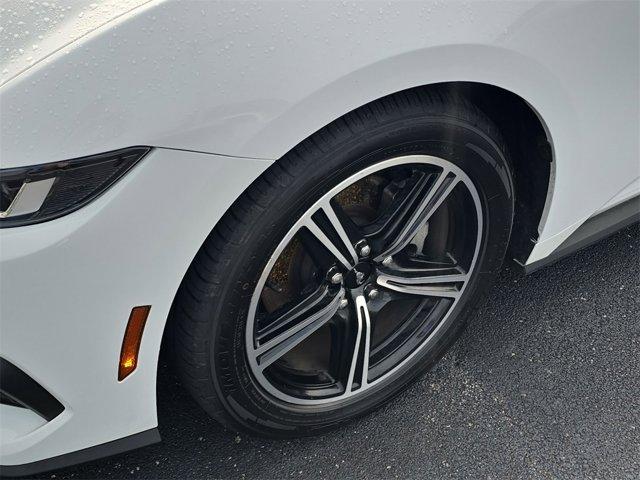 Photo of 2024 Oxford White Ford Mustang