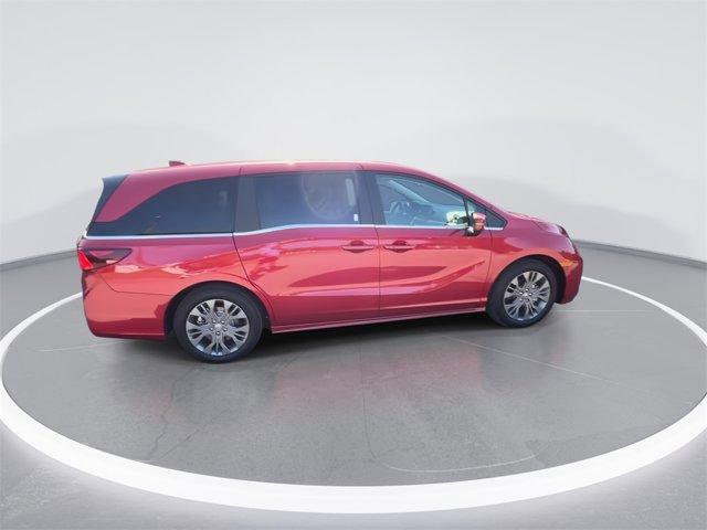Photo of 2025 Maroon Honda Odyssey