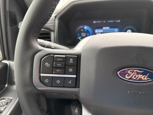 Photo of 2025 Gray Metallic Ford F-150 Lightning