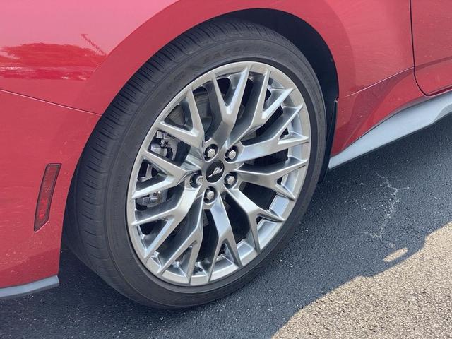 Photo of 2024  Ford Mustang
