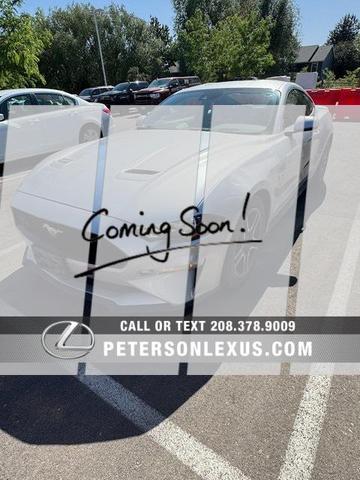 2019 Ford Mustang