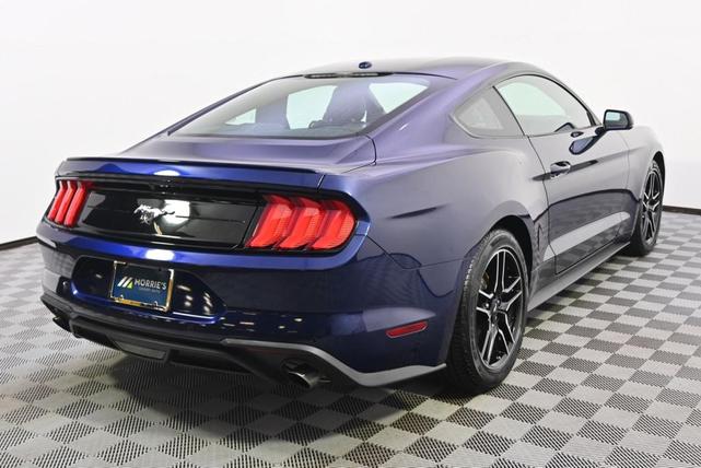 Photo of 2019 Kona Blue Ford Mustang
