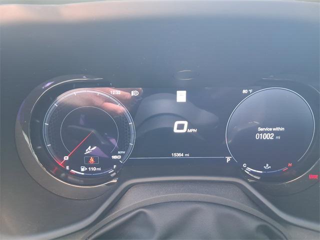 Photo of 2024 8 Ball Dodge Hornet