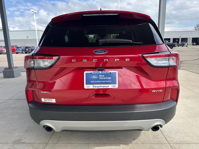 Photo of 2022 RAPID RED MET TINTED CC Ford Escape