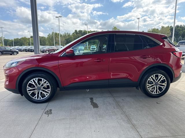 Photo of 2022 RAPID RED MET TINTED CC Ford Escape