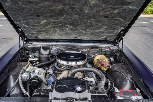 Photo of 1966 Blackberry Metallic Pontiac GTO