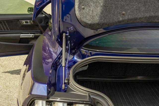 Photo of 2019 Kona Blue Ford Mustang