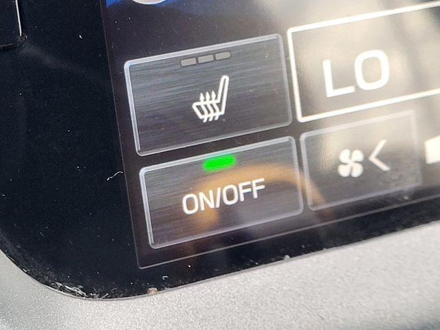 Photo of 2024 Autumn Green Metallic Subaru Outback