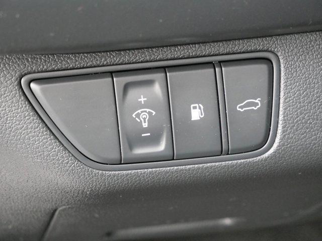 Photo of 2022 Vik Black Genesis G70