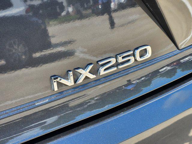 Photo of 2025 Cloudburst Gray Lexus NX 250