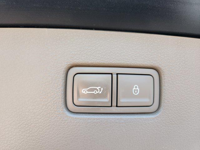 Photo of 2023 Vik Black Genesis GV80