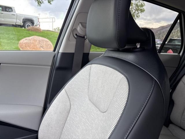 Photo of 2025 Snow White Pearl Kia Niro EV