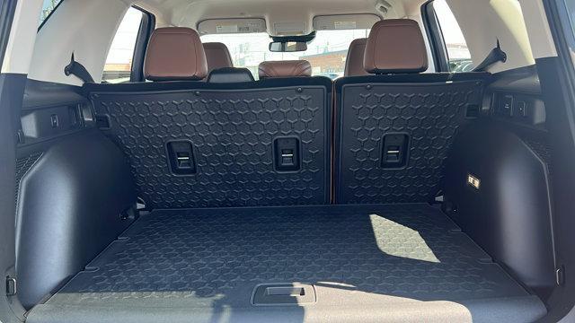 Photo of 2023 Cactus Green / Gray Ford Bronco Sport