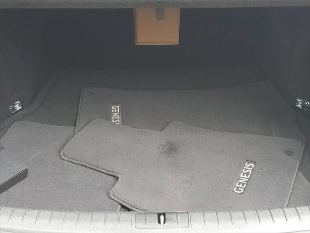 Photo of 2020 Vik Black Genesis G80