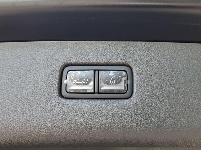 Photo of 2025 Vik Black Genesis GV80