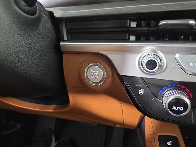 Photo of 2025 Jungle Green Kia Telluride