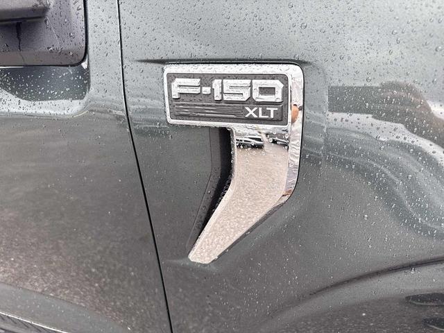 Photo of 2021 Guard Metallic Ford F-150