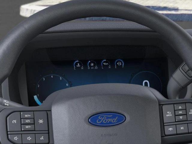 Photo of 2025 Oxford White Ford F-150