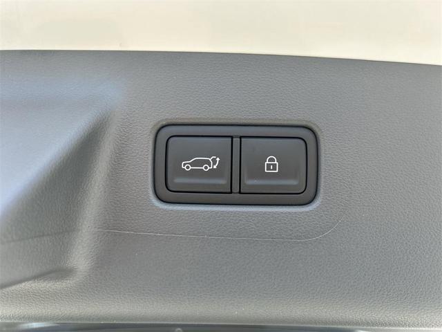 Photo of 2025 White Hyundai SANTA FE HEV