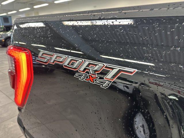 Photo of 2023 Agate Black Metallic Ford F-150