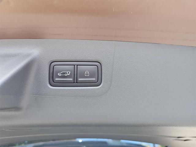 Photo of 2025 Earthy Brass Matte Hyundai SANTA FE HEV