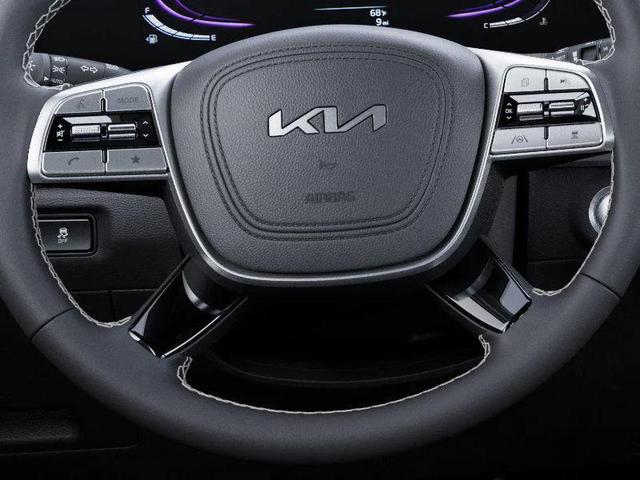 Photo of 2025 Panthera Metal Kia Telluride