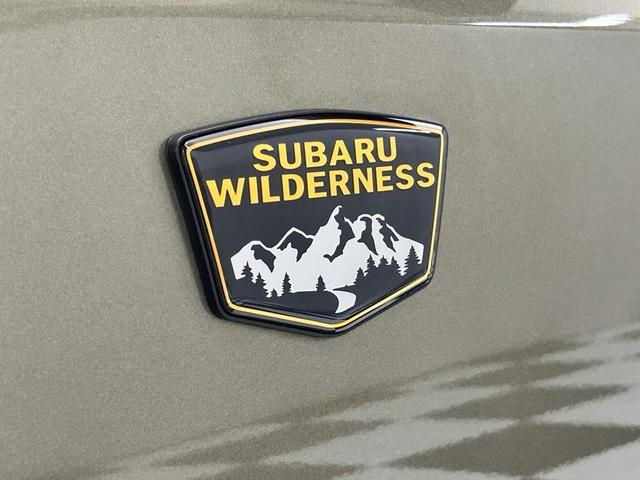 Photo of 2024 Autumn Green Metallic Subaru Outback