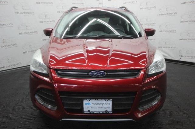Photo of 2014 Ruby Red Tinted Clearcoat Ford Escape