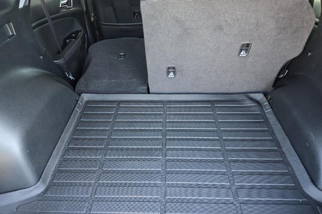 Photo of 2024 Jungle Green Kia Sportage