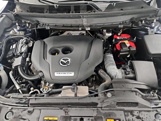 Photo of 2019 Blue Mazda CX-9