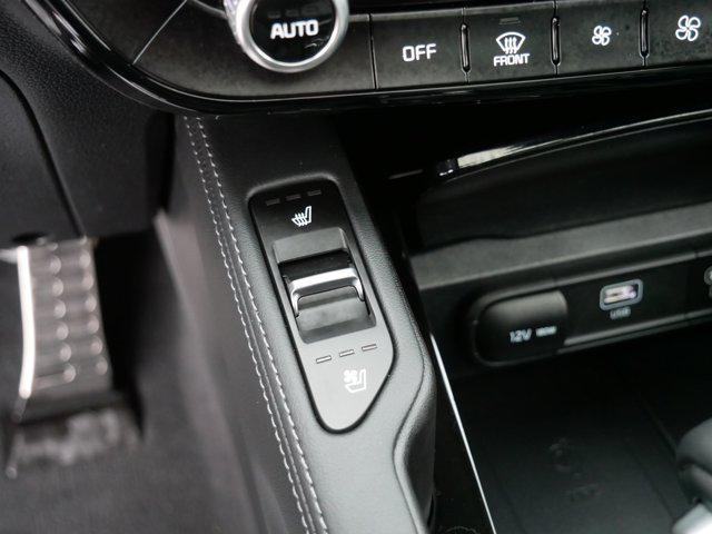 Photo of 2024 Jungle Green Kia Telluride