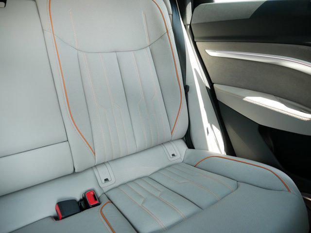 Photo of 2024 Glacier White Metallic Audi Q8 e-tron