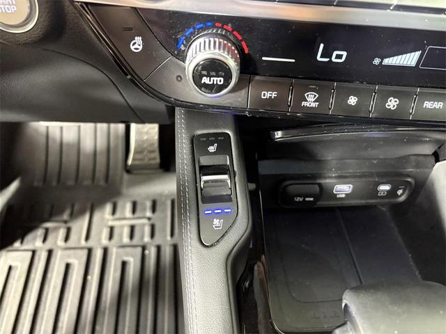 Photo of 2024 Jungle Green Kia Telluride
