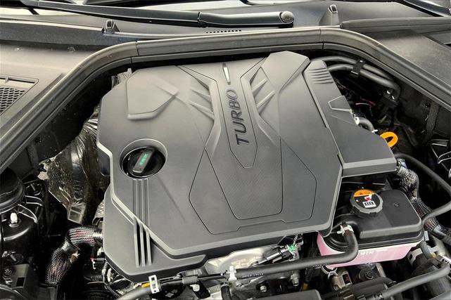 Photo of 2025 Vik Black Genesis G80