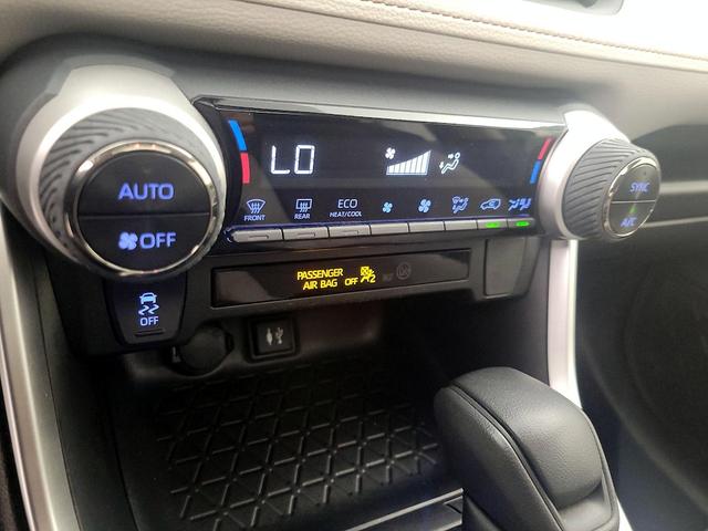 Photo of 2019 Blue Toyota RAV4