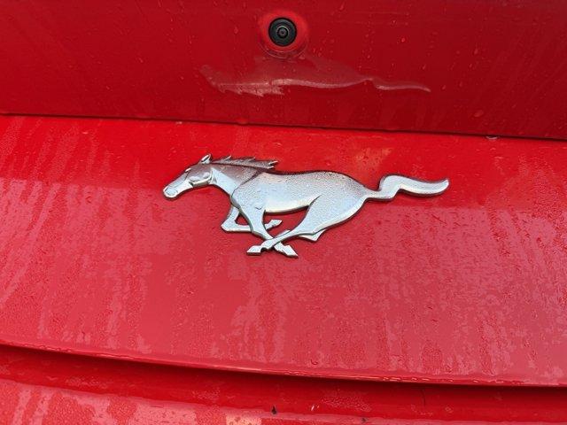 Photo of 2024 Race Red Ford Mustang