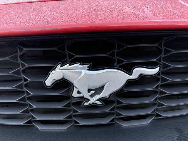 Photo of 2024 Race Red Ford Mustang