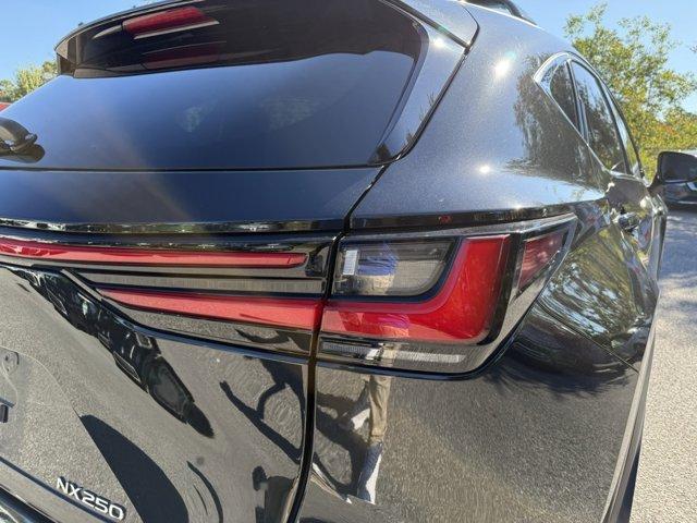Photo of 2023 Caviar Lexus NX 250