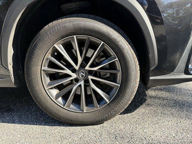 Photo of 2023 Caviar Lexus NX 250