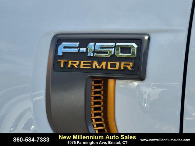 Photo of 2023 White Ford F-150
