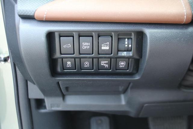 Photo of 2021 Jasper Green Metallic Subaru Forester