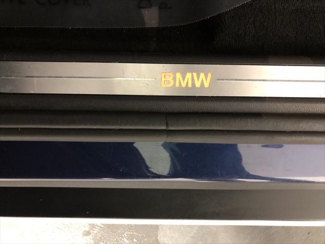 Photo of 2019 Phytonic Blue Metallic BMW X5