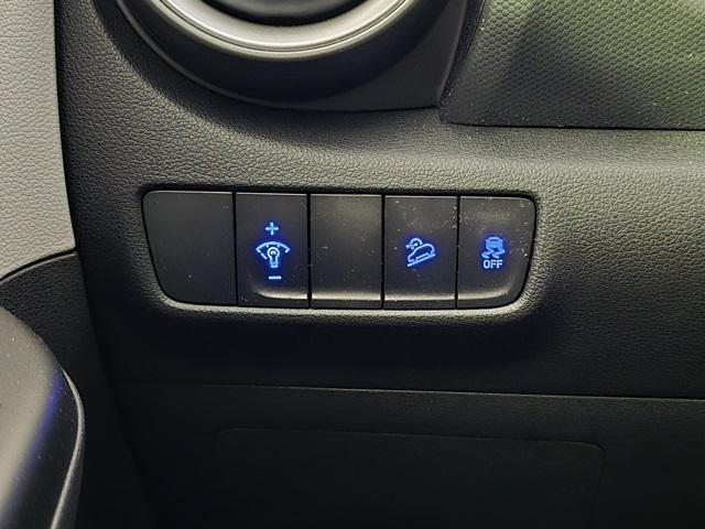 Photo of 2022 Cactus Fern Hyundai KONA