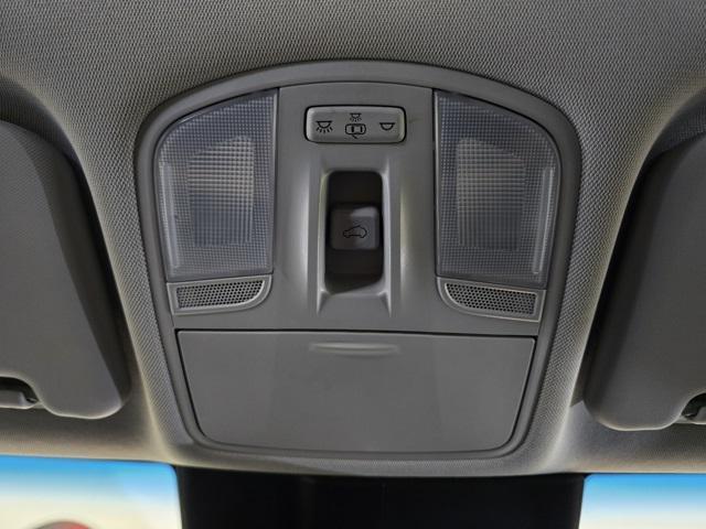 Photo of 2022 Cactus Fern Hyundai KONA