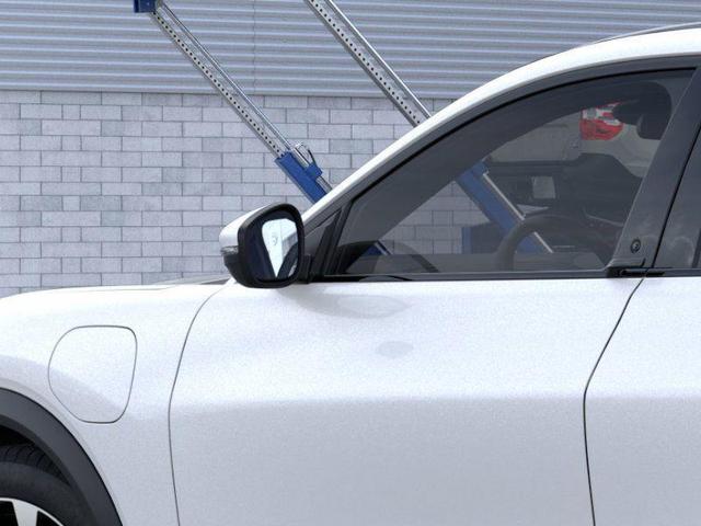 Photo of 2025 Star White Ford Mustang Mach-E