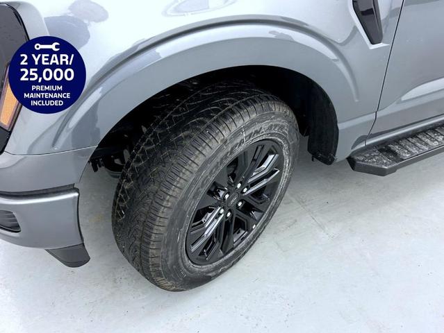 Photo of 2025 Carbonized Gray Metallic Ford F-150