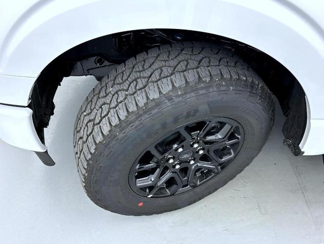 Photo of 2025 Oxford White Ford F-150